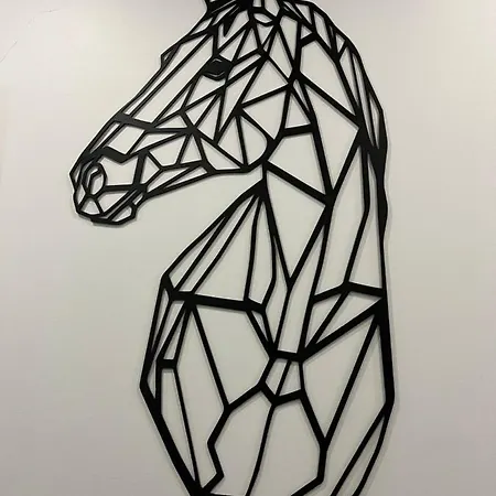 Apartman Black Horse 24h Zameldowanie