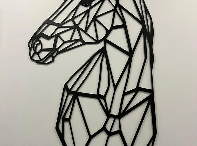 Apartment Black Horse 24h Zameldowanie